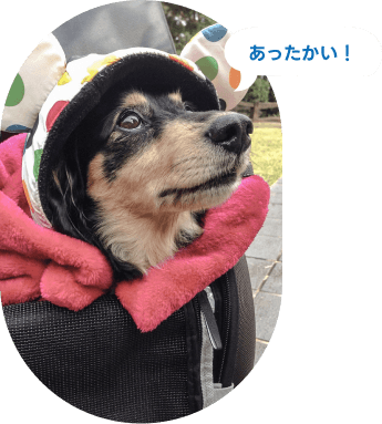 スライド3