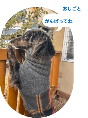 スライド5